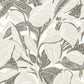 Riviera Mediterranee Wallpaper - Reglisse - Casadeco - 87419865 - Premier Wallcovering