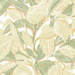 Riviera Mediterranee Wallpaper - Melon - Casadeco - 87417430 - Premier Wallcovering