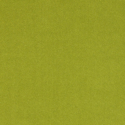Rivoli Fabric - Absinthe - Manuel Canovas - 04982/51 - Premier Wallcovering