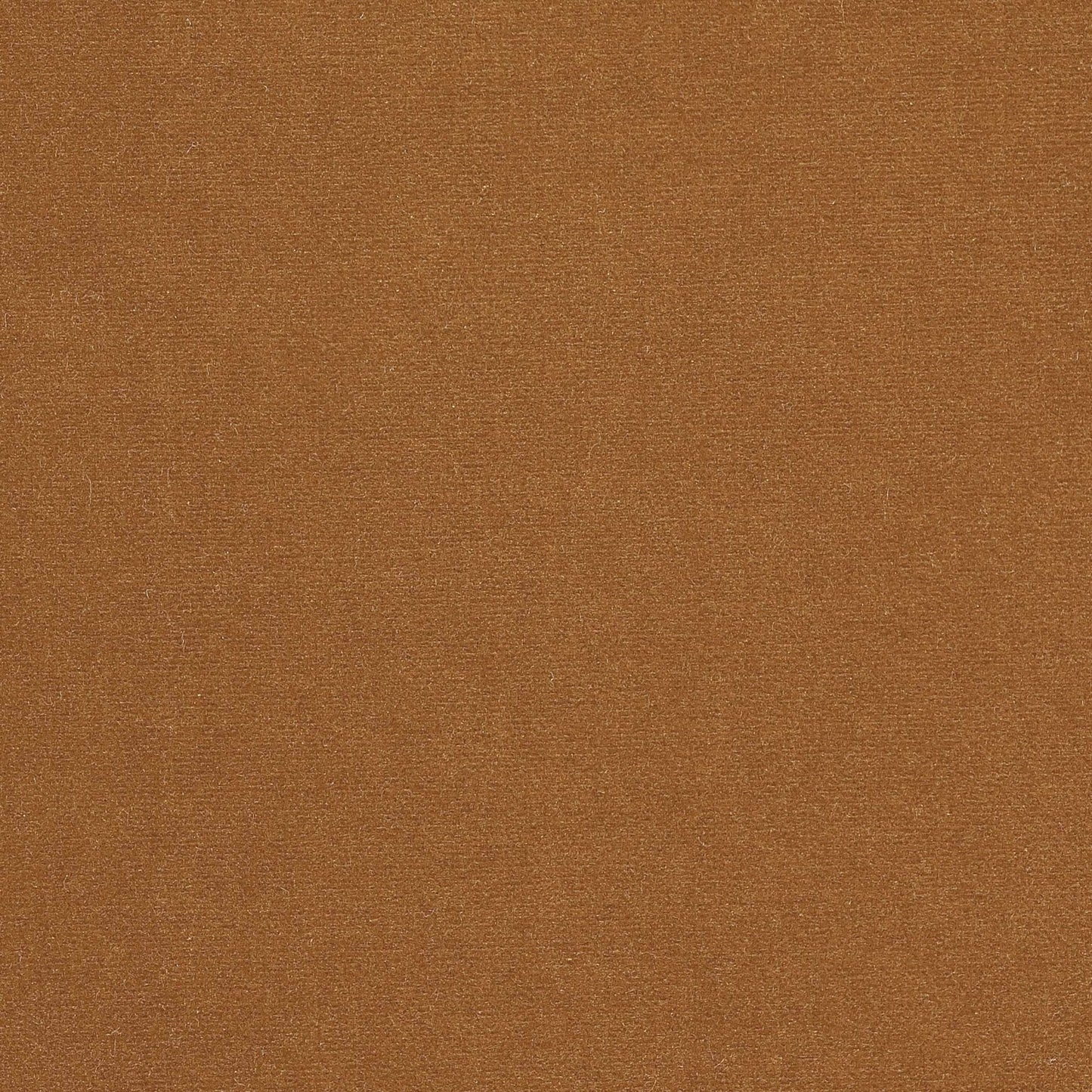 Rivoli Fabric - Camel - Manuel Canovas - 04982/59 - Premier Wallcovering