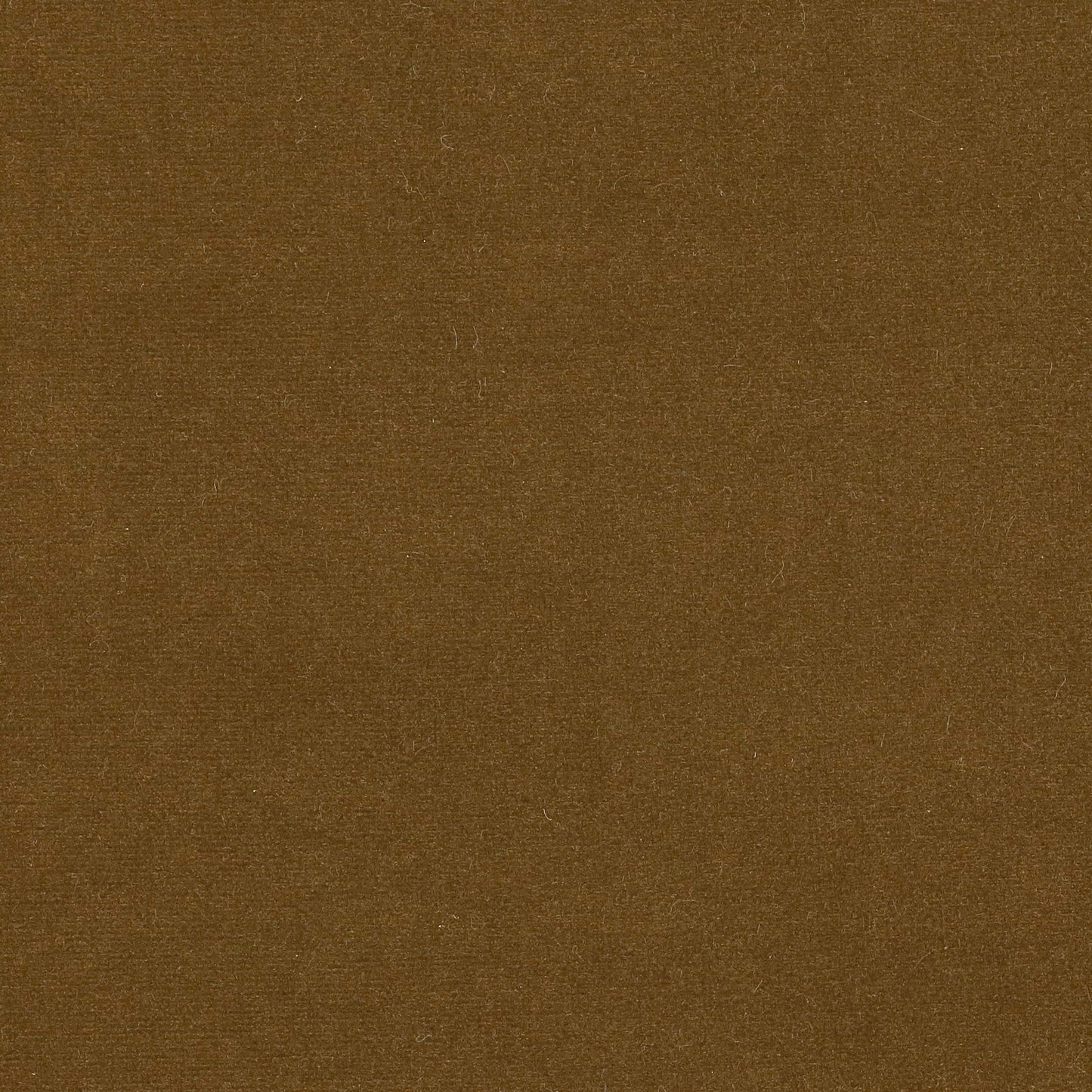 Rivoli Fabric - Castor - Manuel Canovas - 04982/38 - Premier Wallcovering