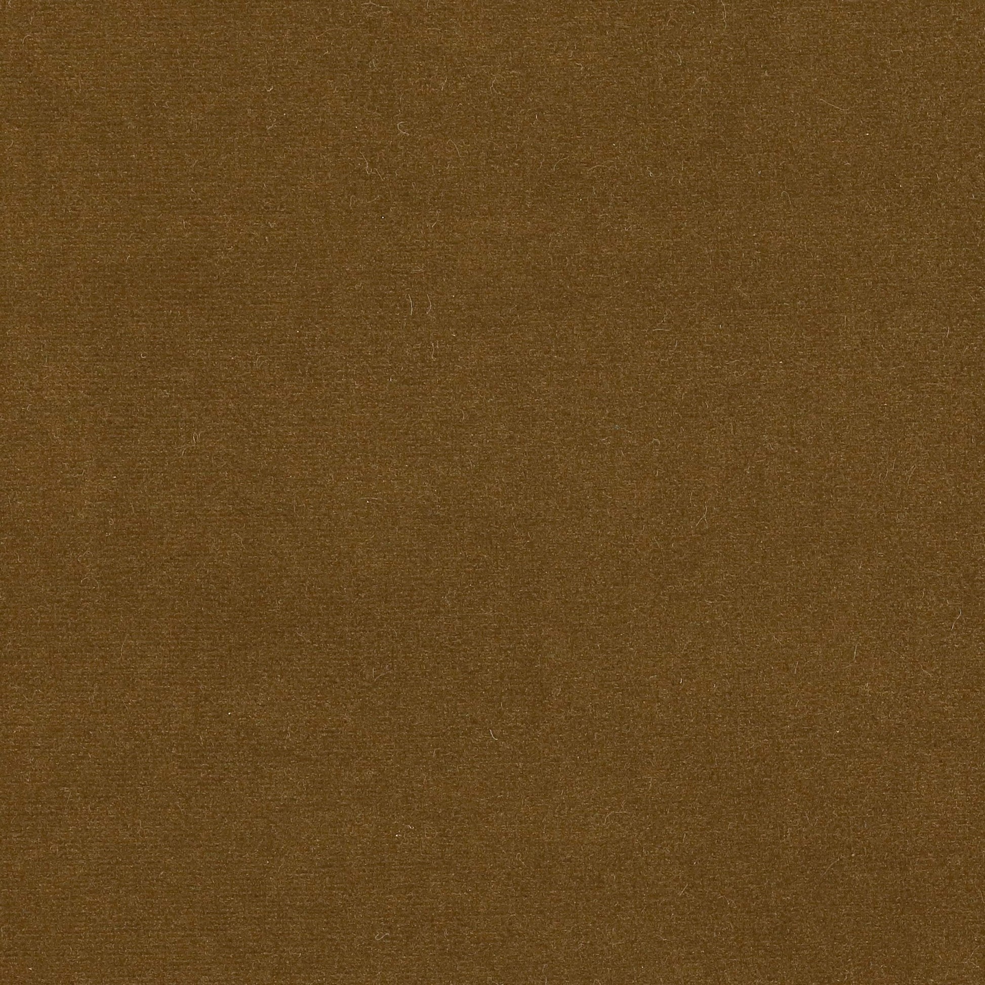 Rivoli Fabric - Castor - Manuel Canovas - 04982/38 - Premier Wallcovering