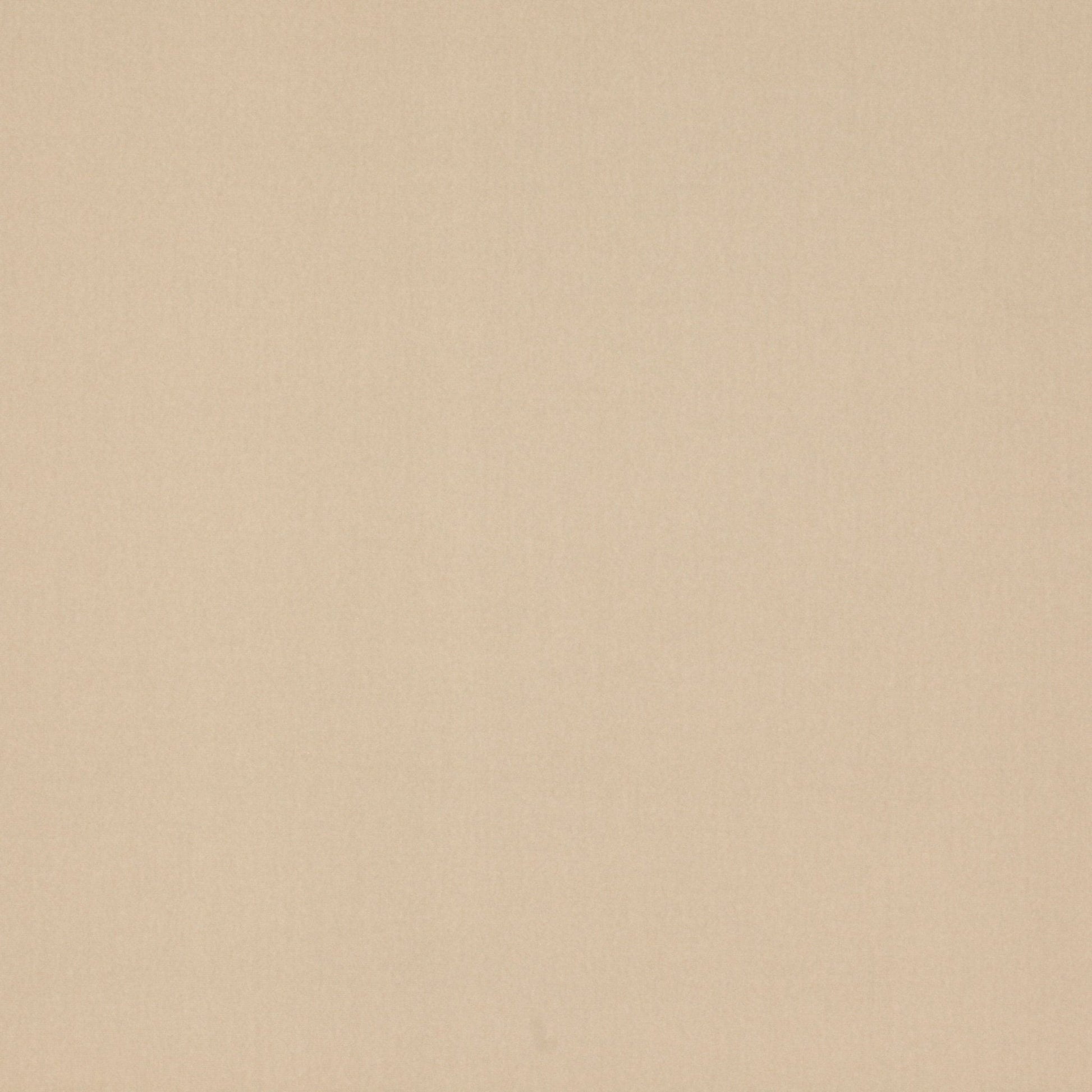 Rivoli Fabric - Mastic - Manuel Canovas - 04982/03 - Premier Wallcovering