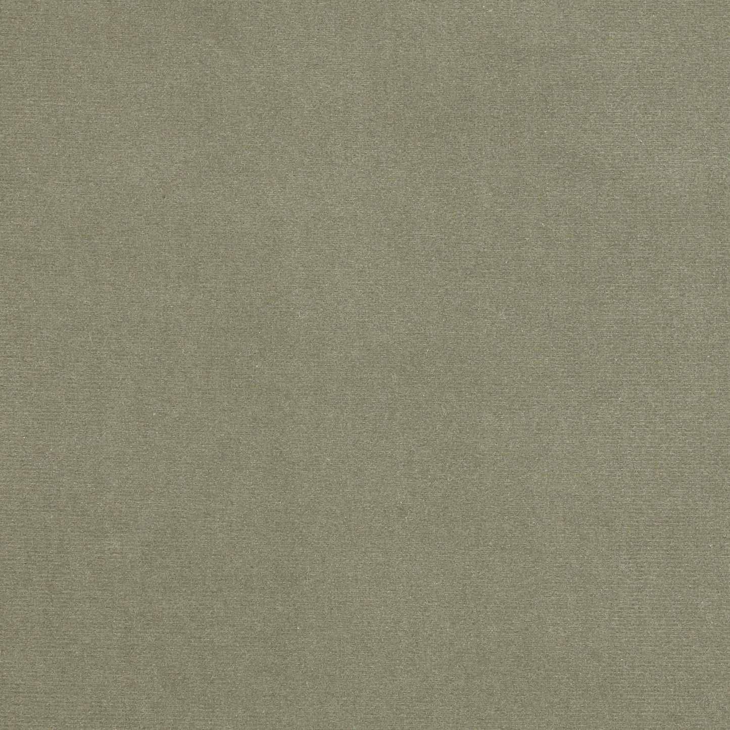 Rivoli Fabric - Argent - Manuel Canovas - 04982/36 - Premier Wallcovering