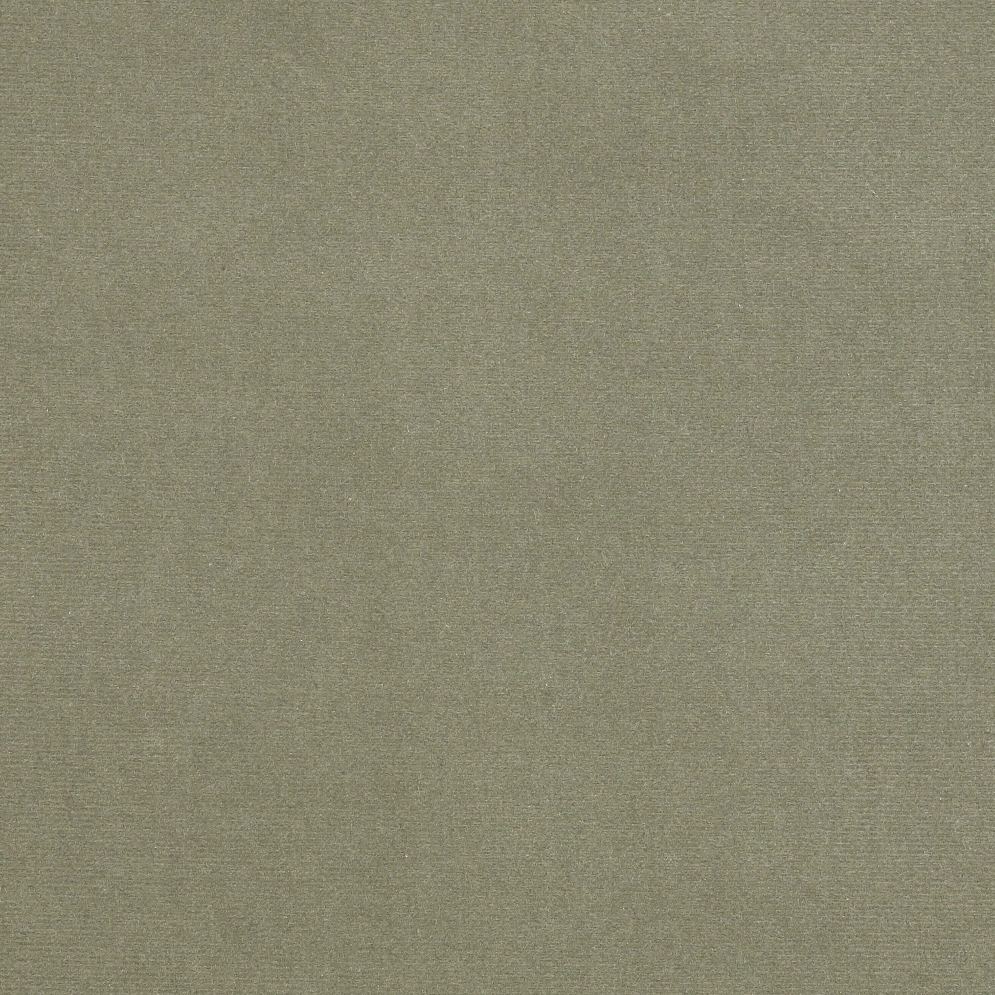 Rivoli Fabric - Argent - Manuel Canovas - 04982/36 - Premier Wallcovering