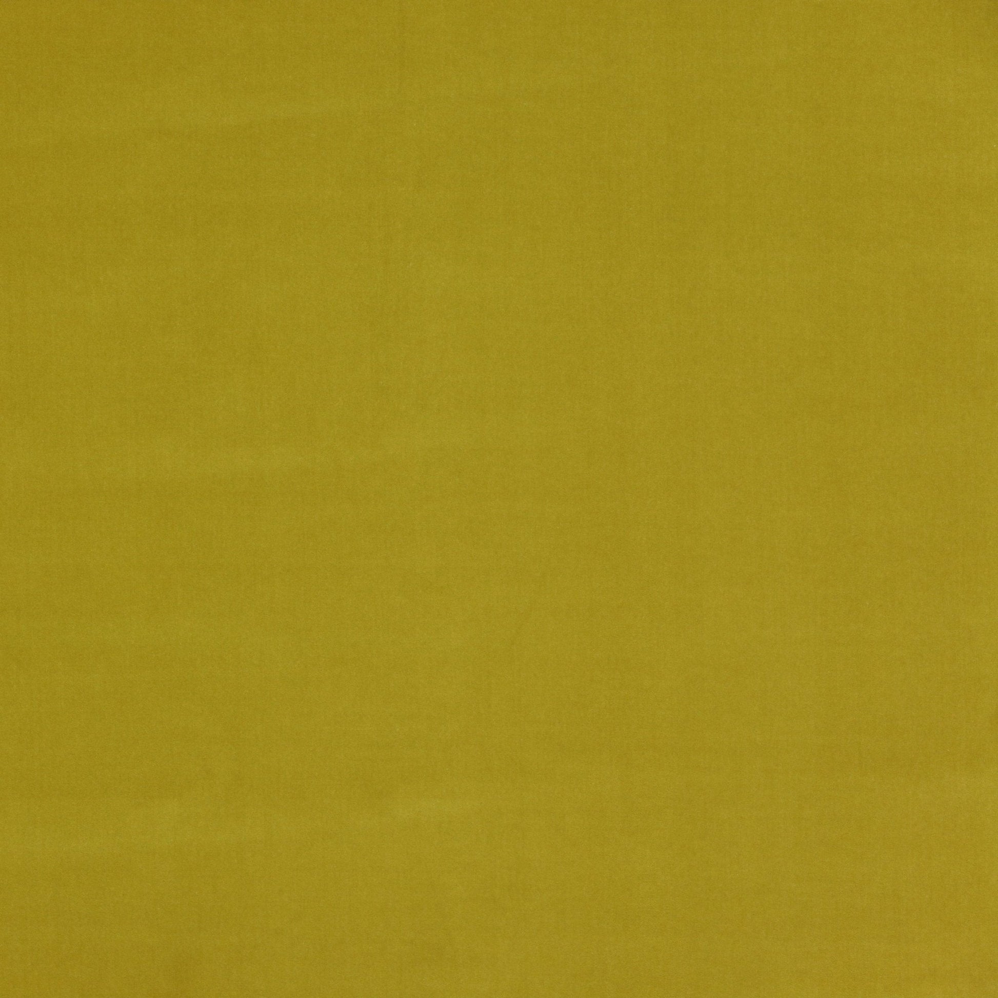 Rivoli Fabric - Anis - Manuel Canovas - 04982/26 - Premier Wallcovering