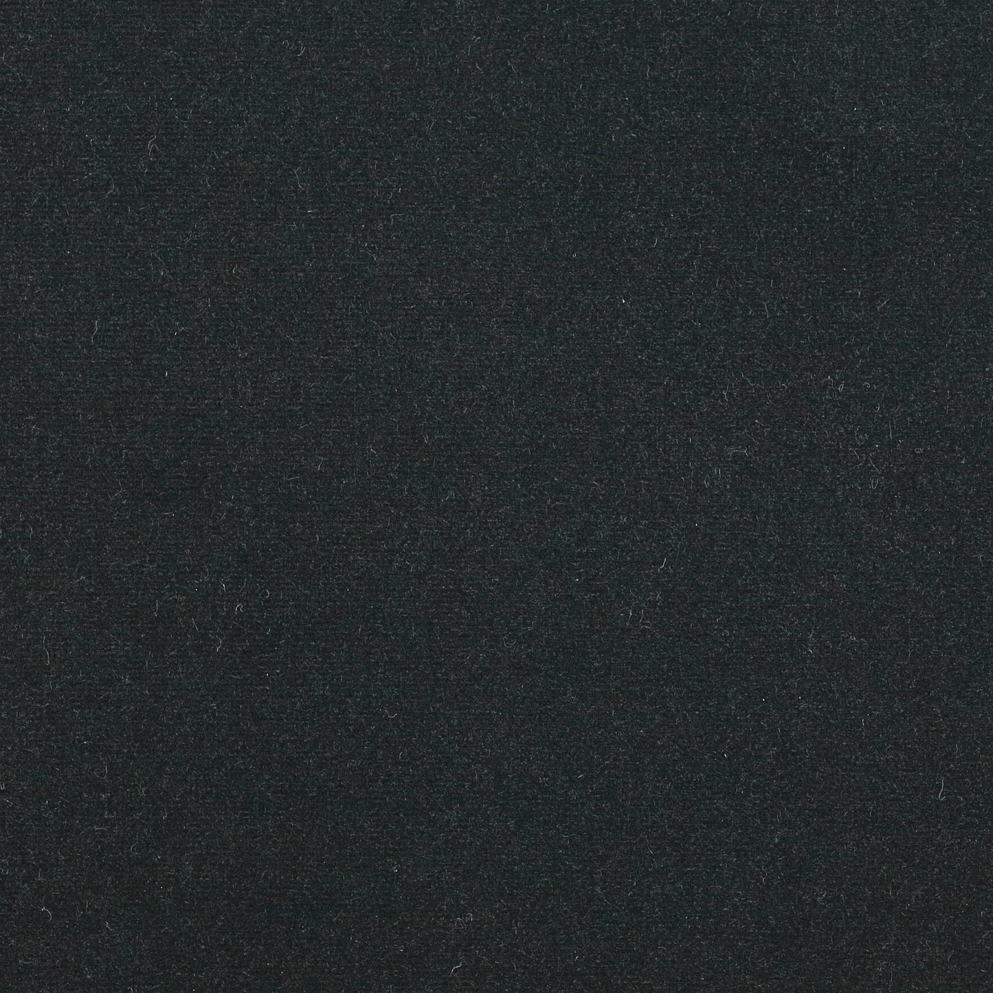 Rivoli Fabric - Ours - Manuel Canovas - 04982/39 - Premier Wallcovering