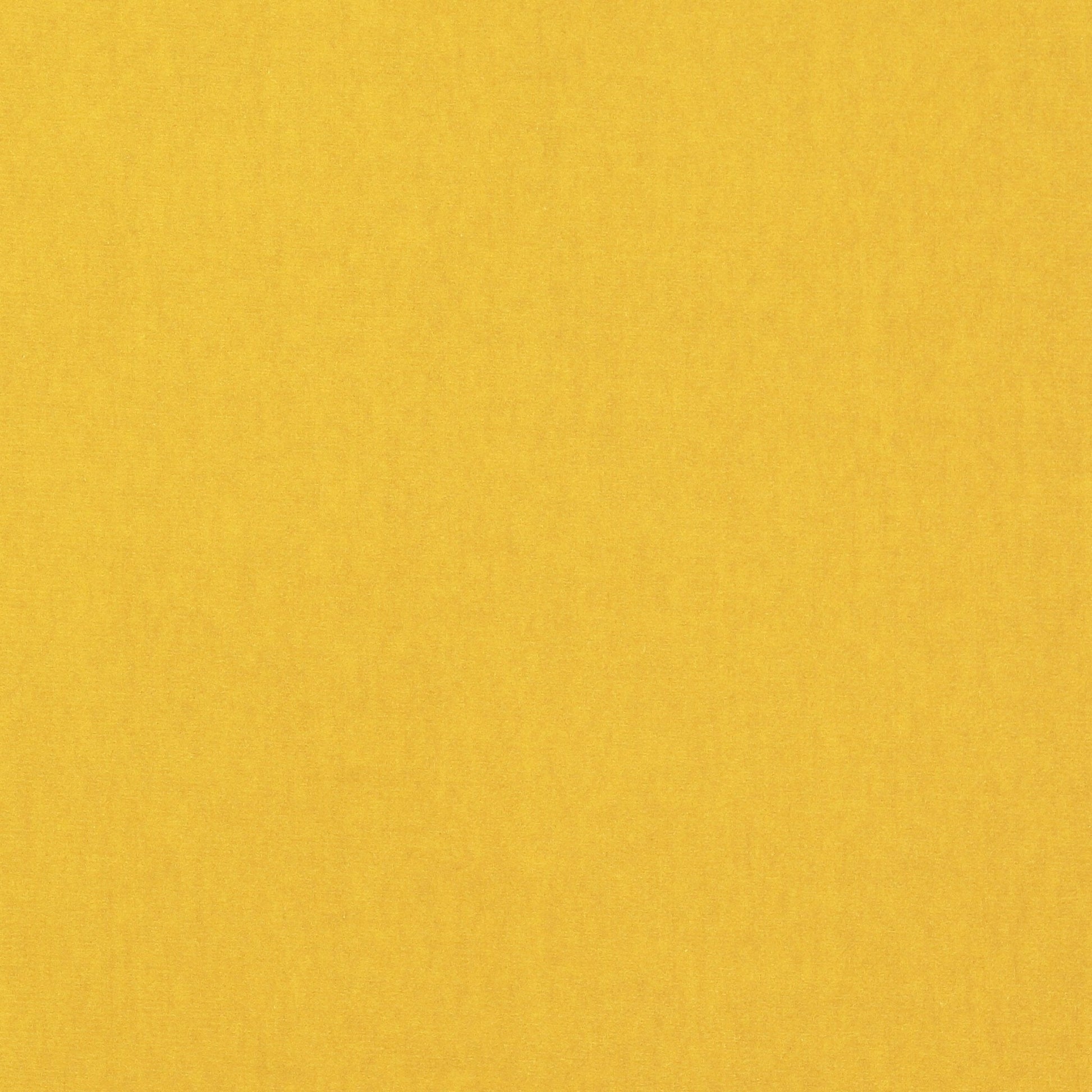 Rivoli Fabric - Paille - Manuel Canovas - 04982/60 - Premier Wallcovering