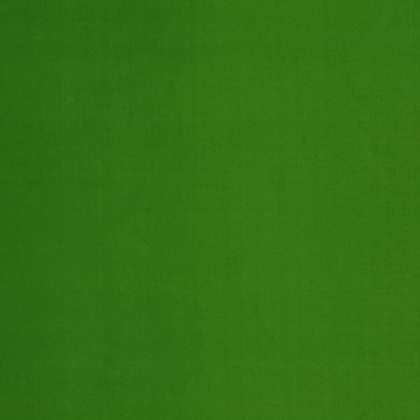 Rivoli Fabric - Prairie - Manuel Canovas - 04982/19 - Premier Wallcovering