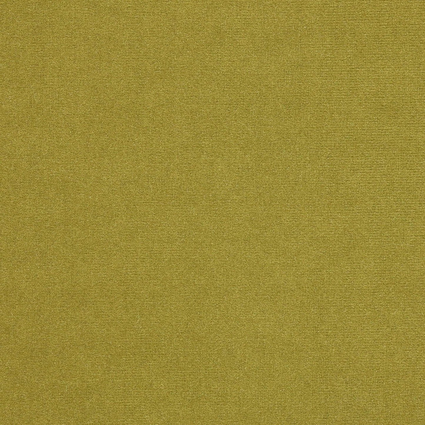 Rivoli Fabric - Kaki - Manuel Canovas - 04982/50 - Premier Wallcovering