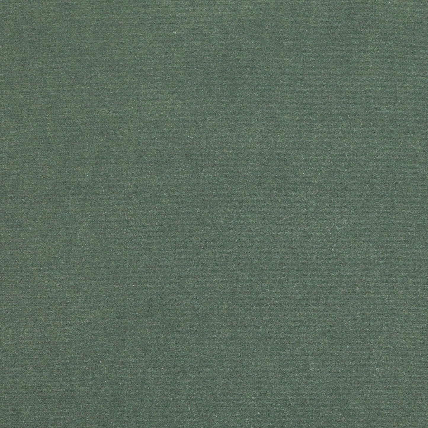 Rivoli Fabric - Sauge - Manuel Canovas - 04982/46 - Premier Wallcovering