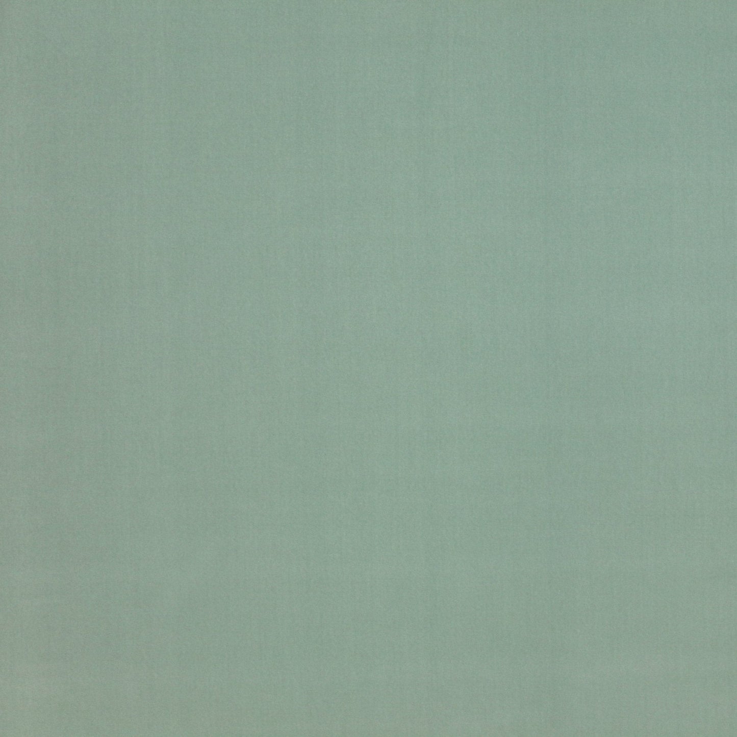 Rivoli Fabric - Celadon - Manuel Canovas - 04982/25 - Premier Wallcovering