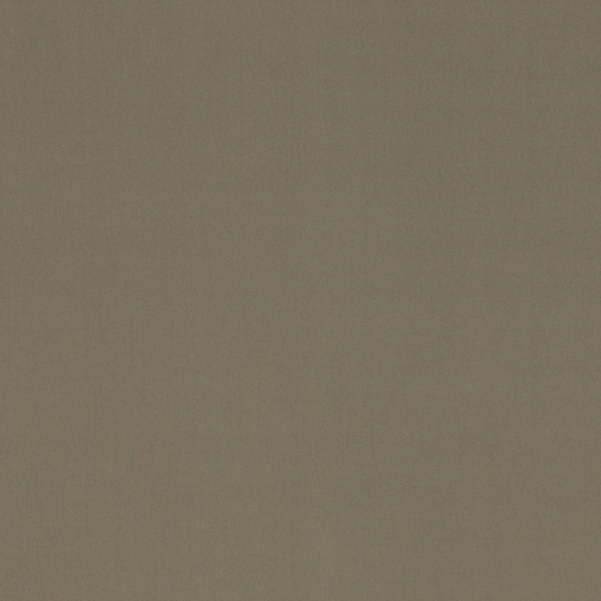 Rivoli Fabric - Souris - Manuel Canovas - 04982/08 - Premier Wallcovering