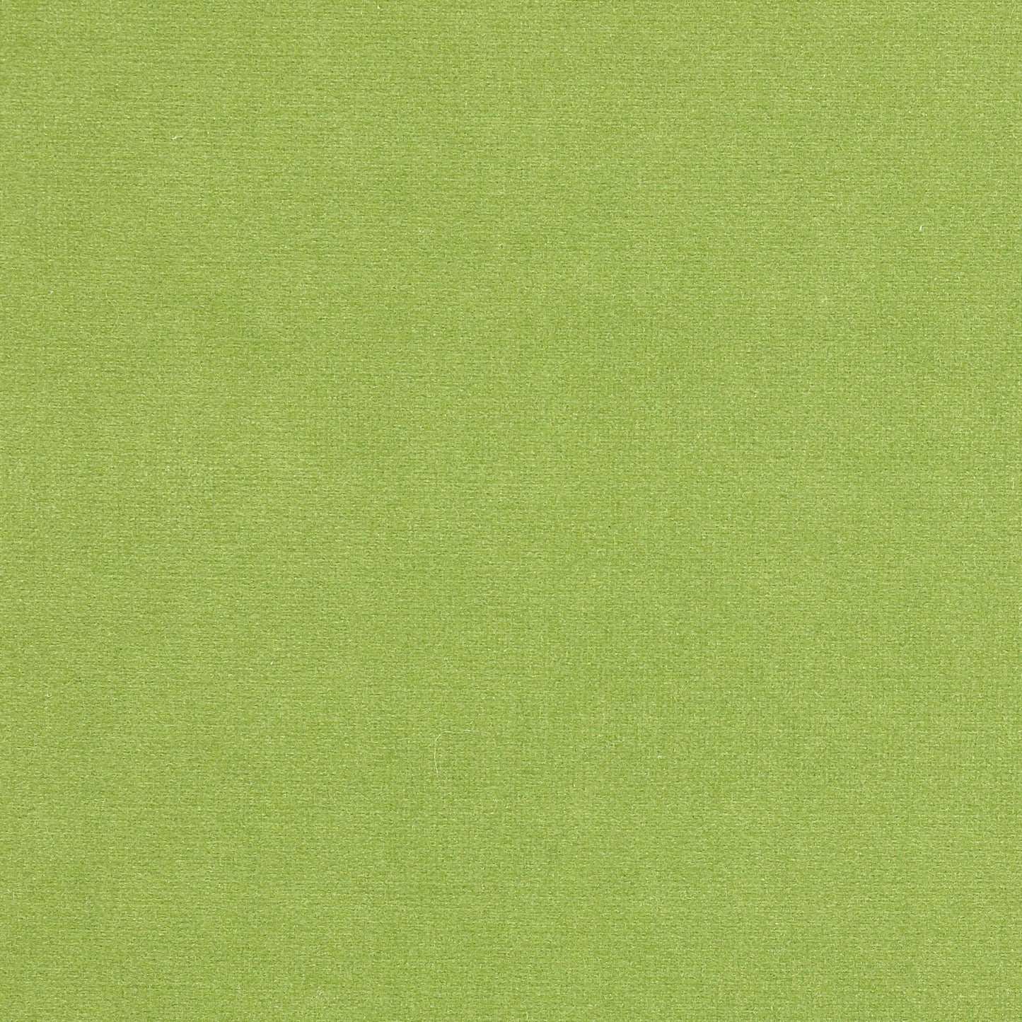 Rivoli Fabric - Laurier - Manuel Canovas - 04982/52 - Premier Wallcovering