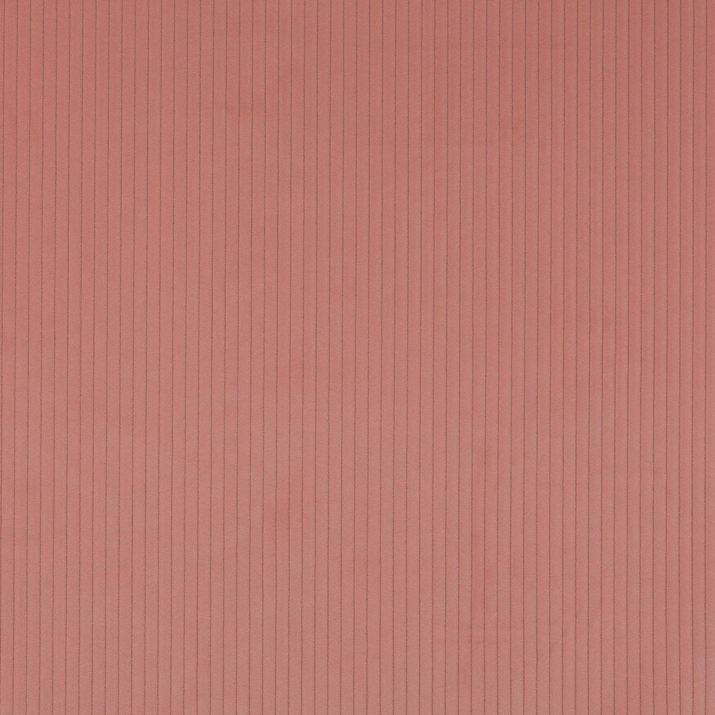 Roma Fabric - Dragee - Manuel Canovas - M4058-19 - Premier Wallcovering