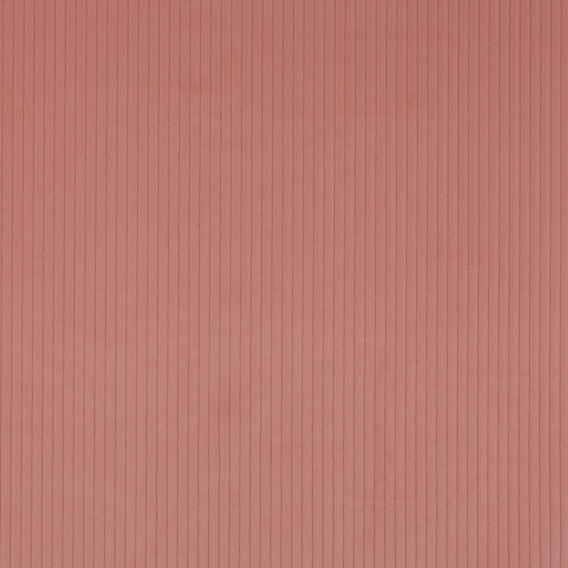 Roma Fabric - Dragee - Manuel Canovas - M4058-19 - Premier Wallcovering