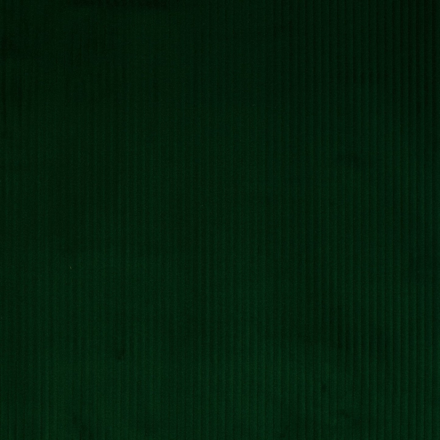 Roma Fabric - Emeraude - Manuel Canovas - M4058-11 - Premier Wallcovering