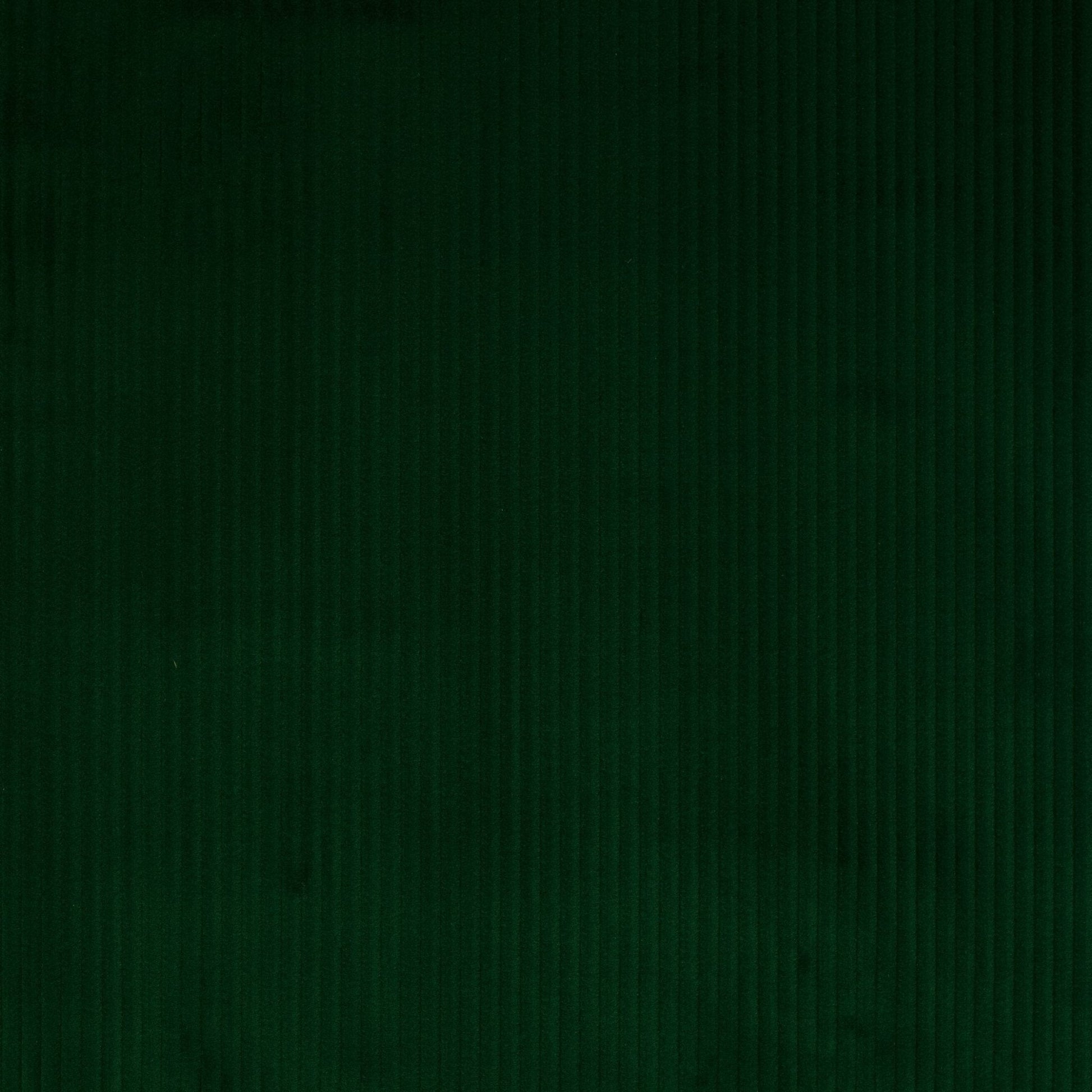 Roma Fabric - Emeraude - Manuel Canovas - M4058-11 - Premier Wallcovering