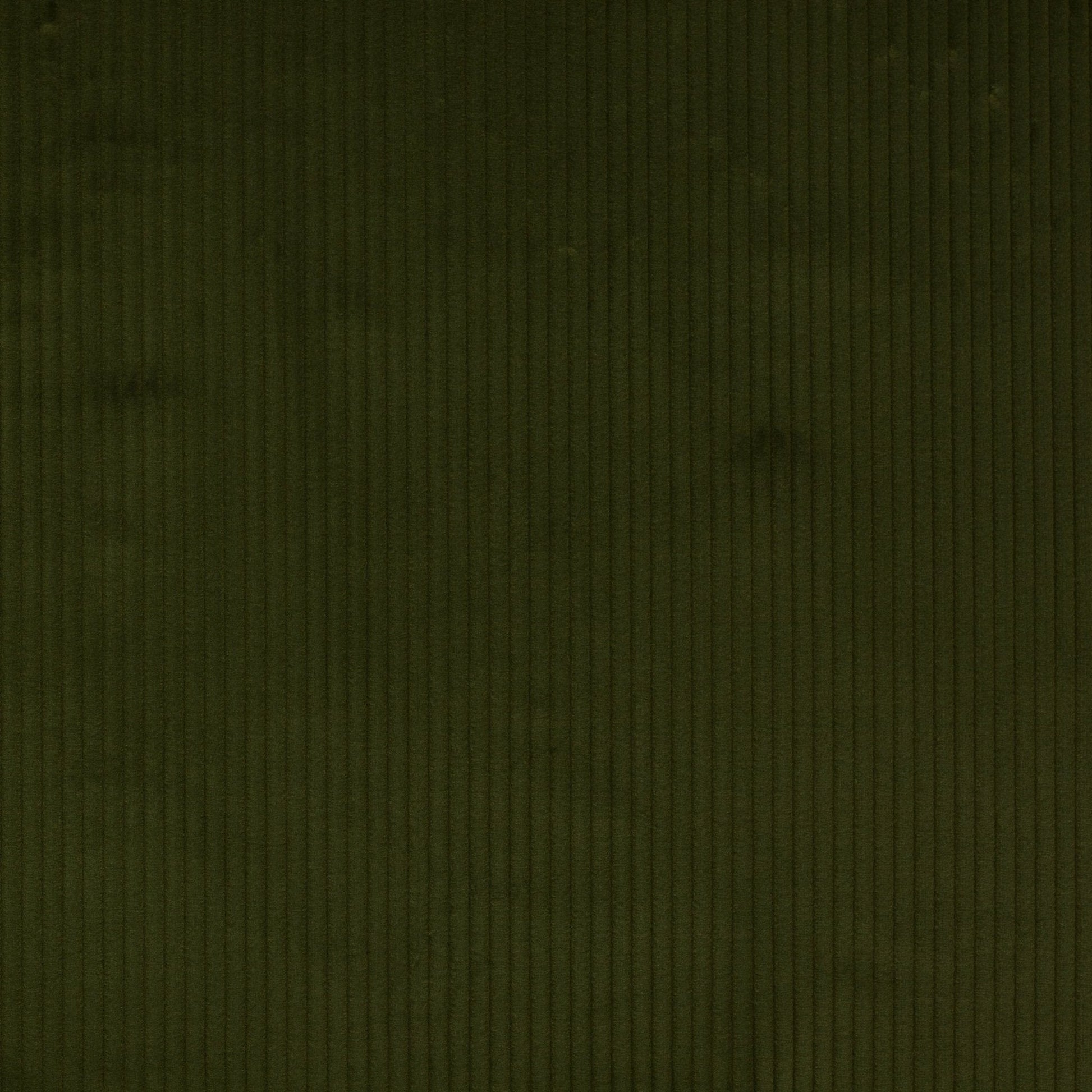 Roma Fabric - Foret - Manuel Canovas - M4058-12 - Premier Wallcovering