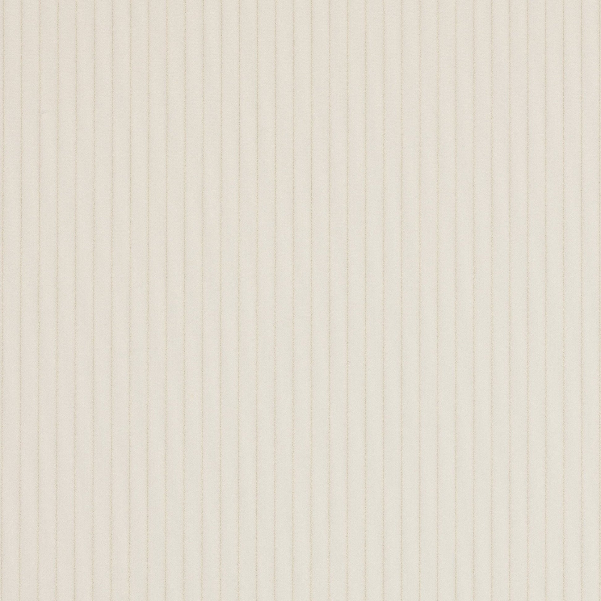 Roma Fabric - Ivoire - Manuel Canovas - M4058-01 - Premier Wallcovering