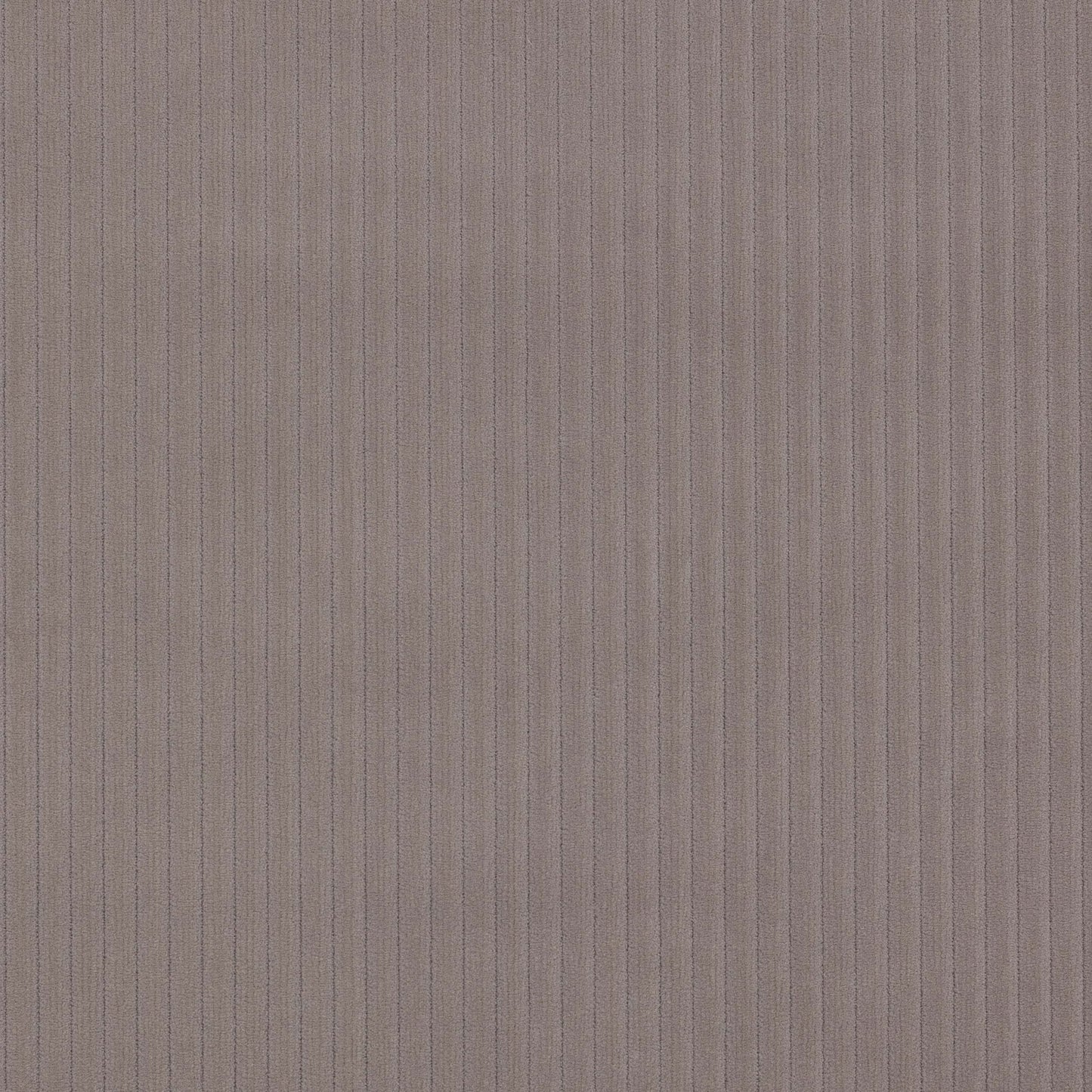 Roma Fabric - Silex - Manuel Canovas - M4058-04 - Premier Wallcovering