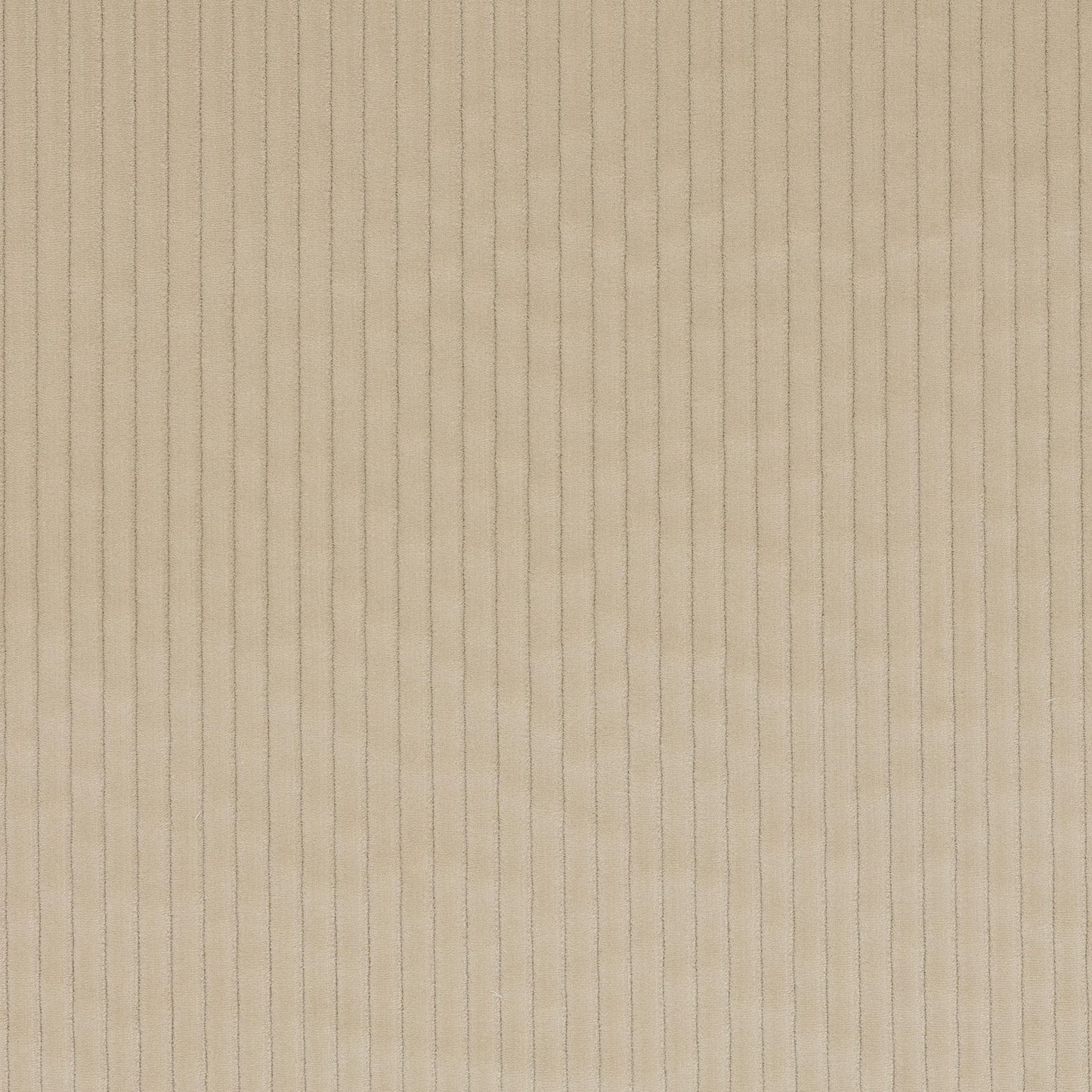 Roma Fabric - Grege - Manuel Canovas - M4058-02 - Premier Wallcovering