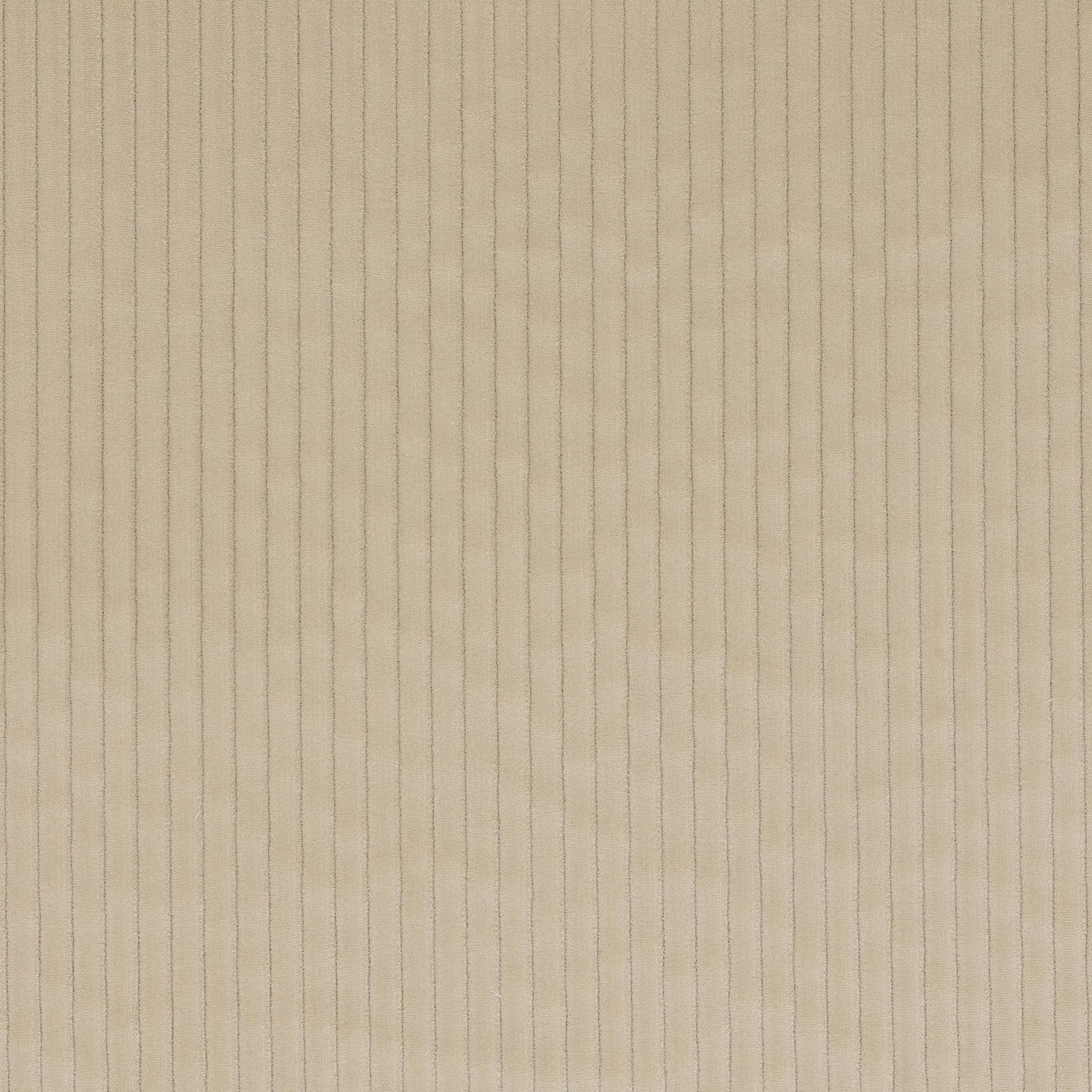 Roma Fabric - Grege - Manuel Canovas - M4058-02 - Premier Wallcovering