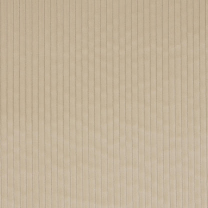 Roma Fabric - Grege - Manuel Canovas - M4058-02 - Premier Wallcovering