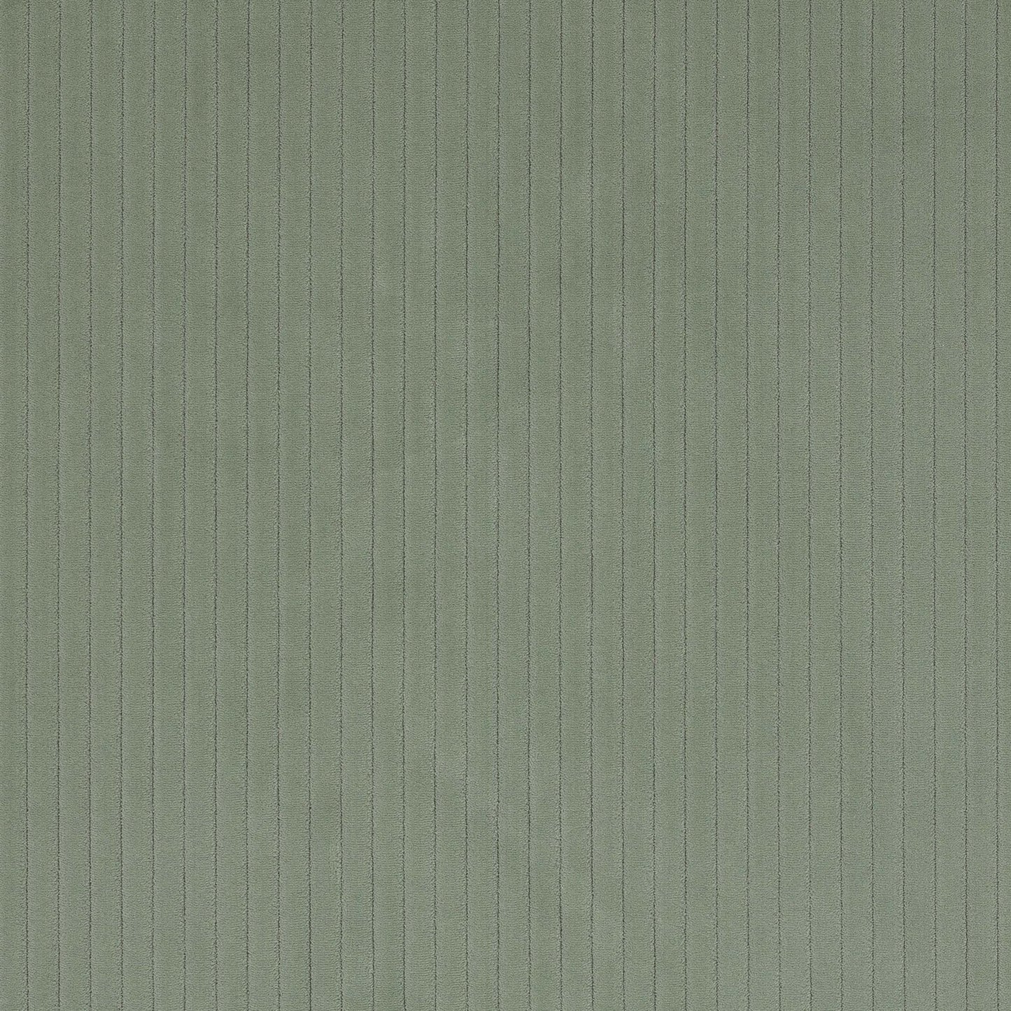 Roma Fabric - Sauge - Manuel Canovas - M4058-05 - Premier Wallcovering