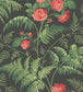 Rose Wallpaper - Red & Leaf Green on Charcoal - 115/10030 - Cole & Son - Premier Wallcovering