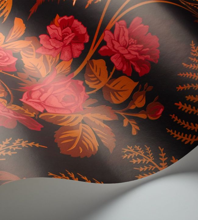 Rose Wallpaper - Rose & Burnt Orange on Black - 115/10029 - Cole & Son - Premier Wallcovering