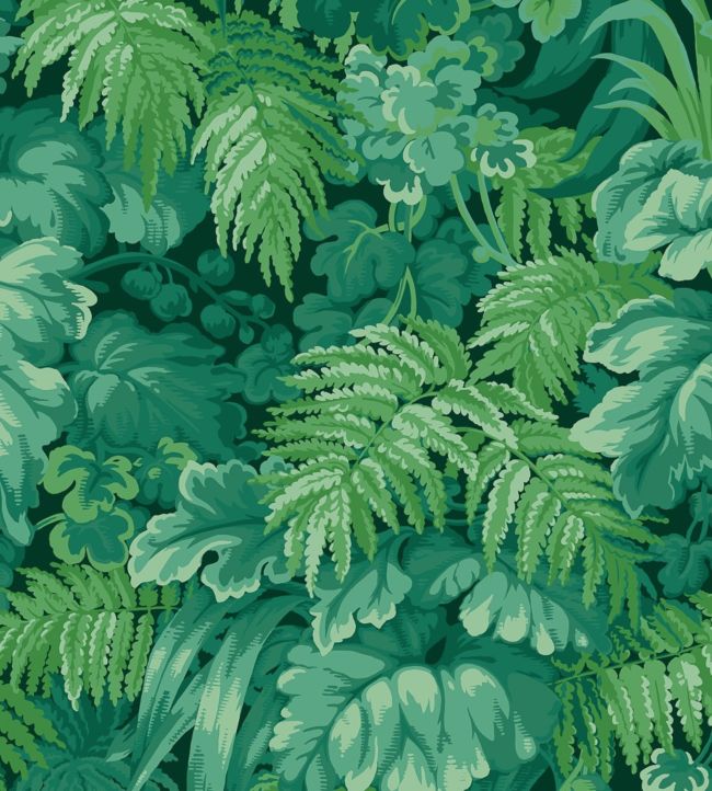 Royal Fernery Wallpaper - Forest Green - 113/3009 - Cole & Son - Premier Wallcovering