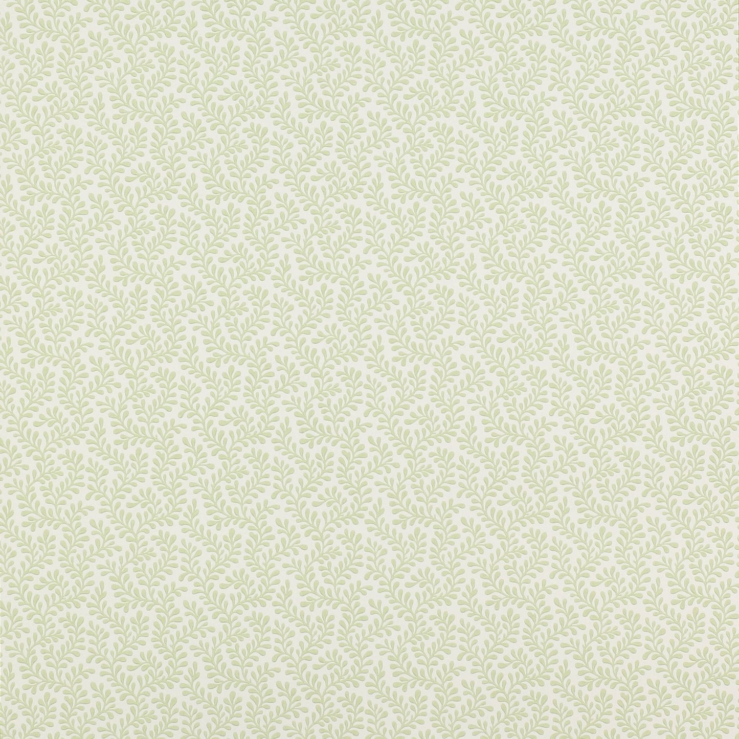 Rushmere Wallpaper - Leaf - Colefax & Fowler - 07985/04 - Premier Wallcovering