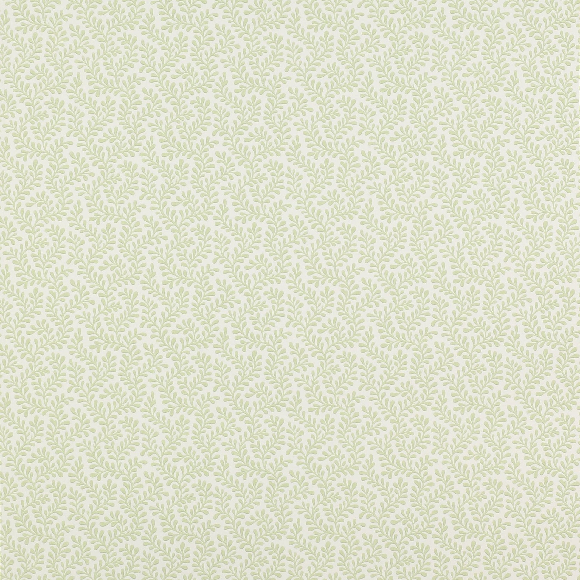 Rushmere Wallpaper - Leaf - Colefax & Fowler - 07985/04 - Premier Wallcovering