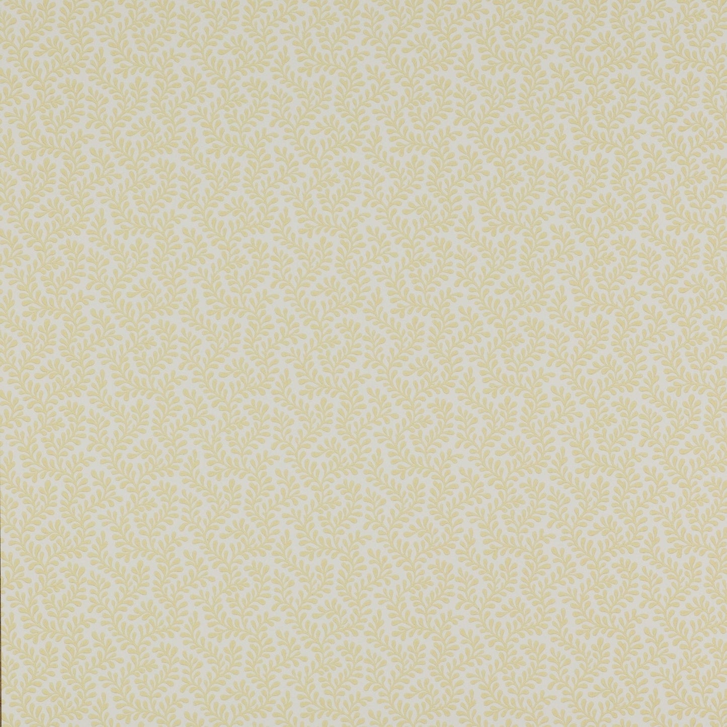 Rushmere Wallpaper - Yellow - Colefax & Fowler - 07985/01 - Premier Wallcovering