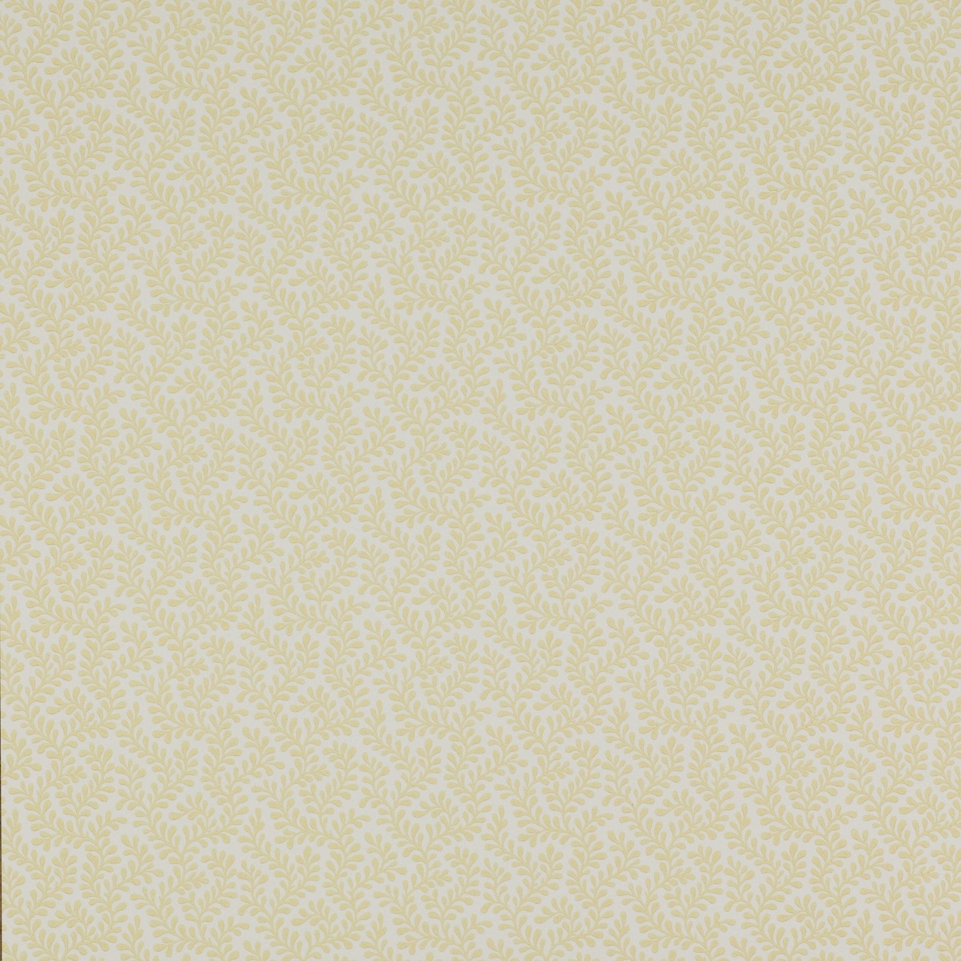 Rushmere Wallpaper - Yellow - Colefax & Fowler - 07985/01 - Premier Wallcovering