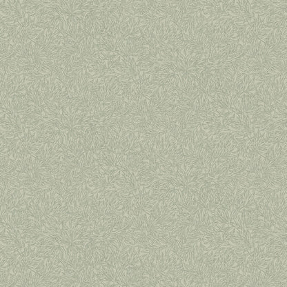Salix Alba Wallpaper - Sage - Boråstapeter - 7787 - Premier Wallcovering