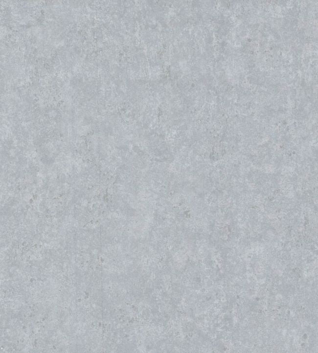 Salvage Wallpaper - Metallic Silver - 92/11052 - Cole & Son - Premier Wallcovering
