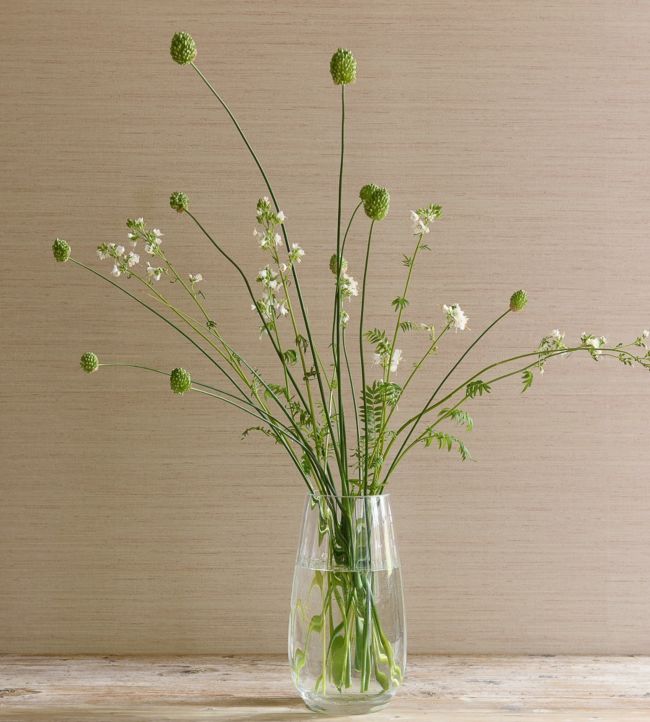 Sandrine Wallpaper - Cream - Colefax & Fowler - 07179/02 - Premier Wallcovering