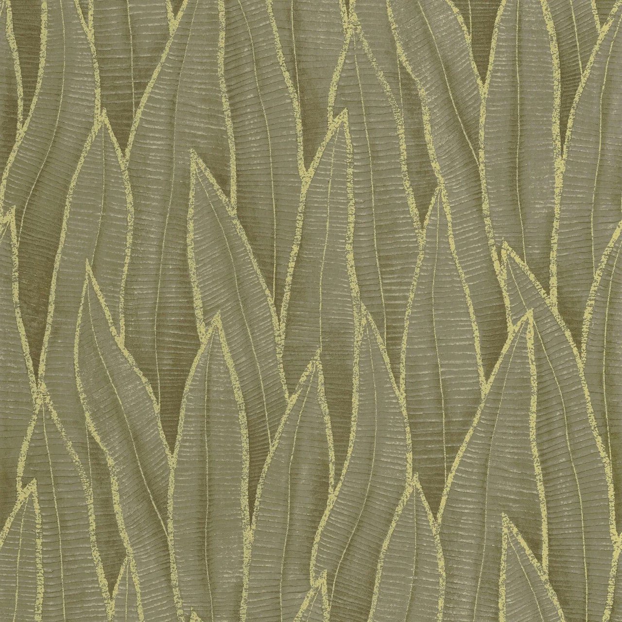 Sansevieria Rio Wallpaper - Vert Mousse - Casadeco - 201837807 - Premier Wallcovering