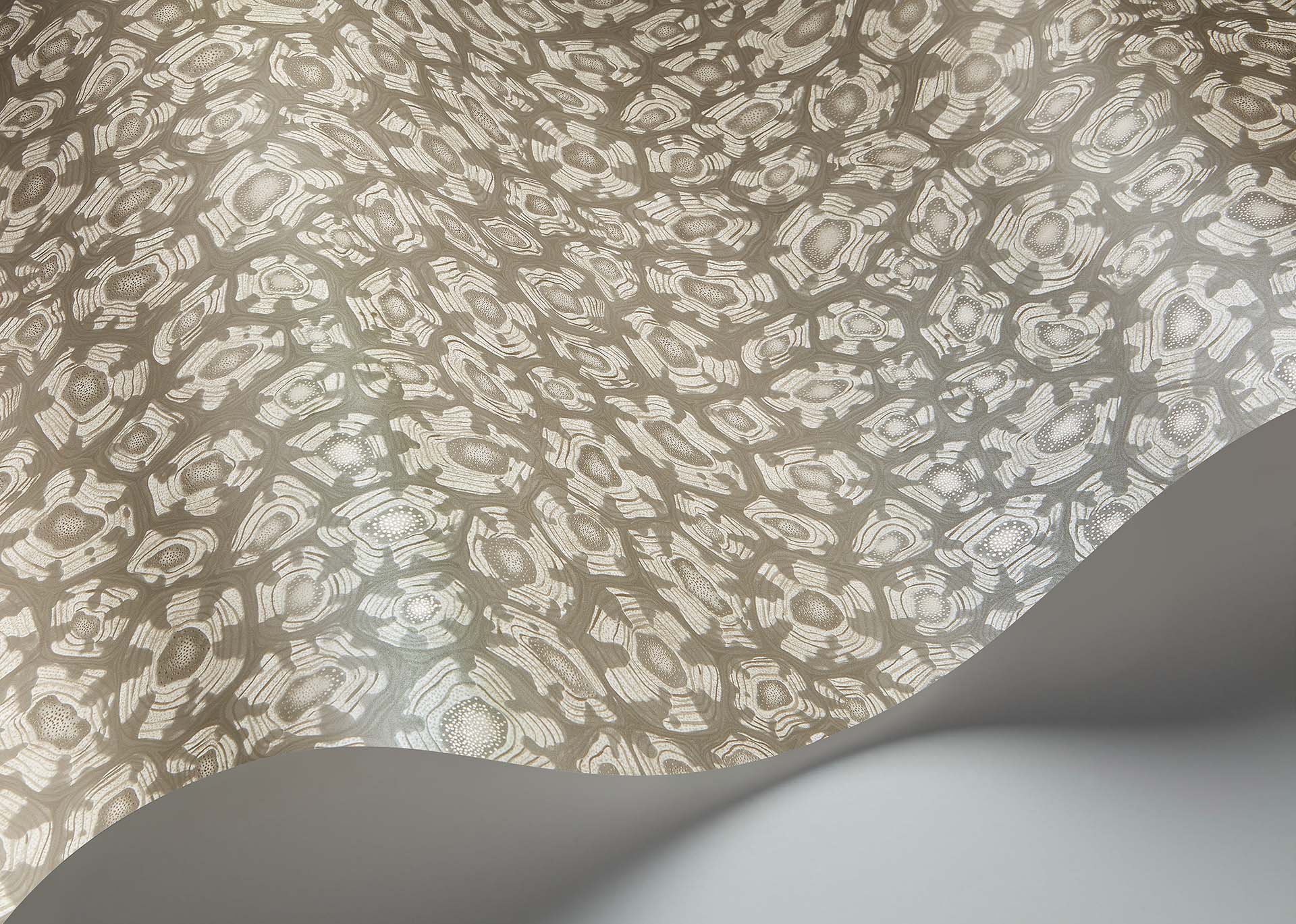Savanna Shell Wallpaper - Shell Mica, Taupe & Metallic Gilver - 119/4022 - Cole & Son - Premier Wallcovering
