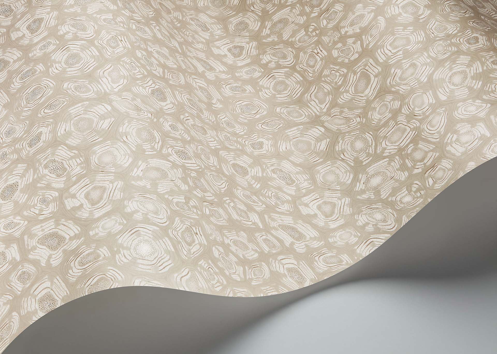 Savanna Shell Wallpaper - Parchment, Linen & Metallic Gilver - 119/4021 - Cole & Son - Premier Wallcovering