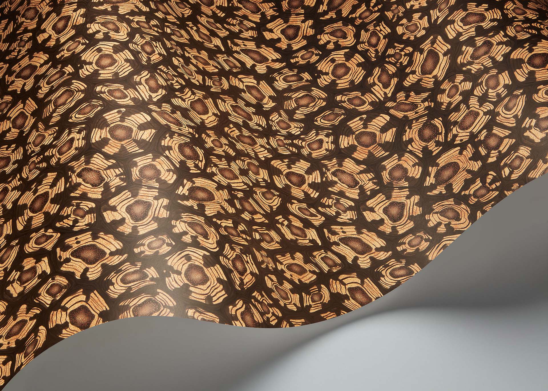 Savanna Shell Wallpaper - Ochre, Soot & Orange - 119/4019 - Cole & Son - Premier Wallcovering