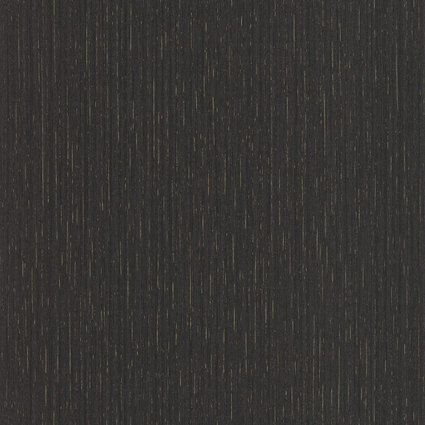 Scarlett Uni Metallise Wallpaper - Anthracite - Caselio - 100519280