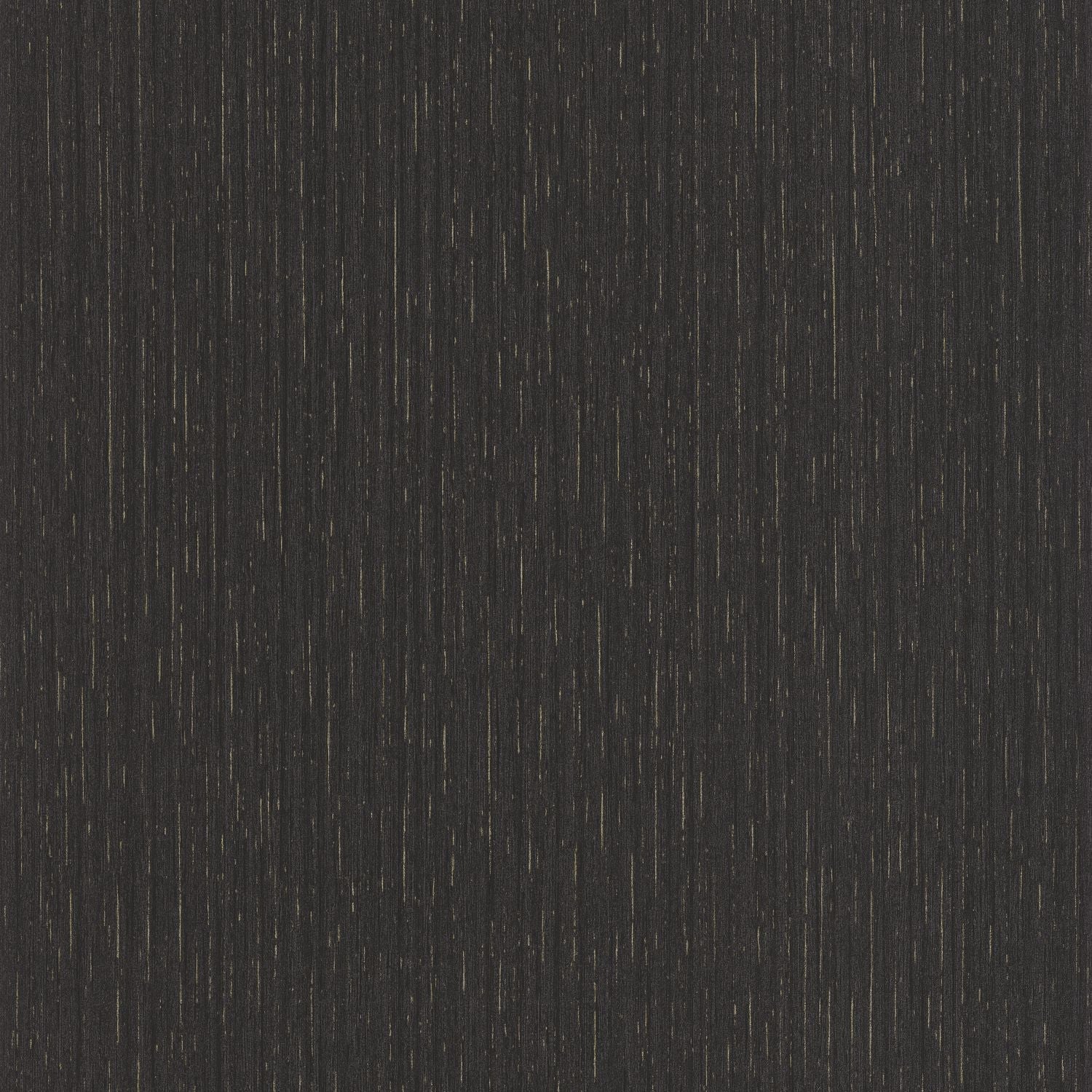 Scarlett Uni Metallise Wallpaper - Anthracite - Caselio - 100519280