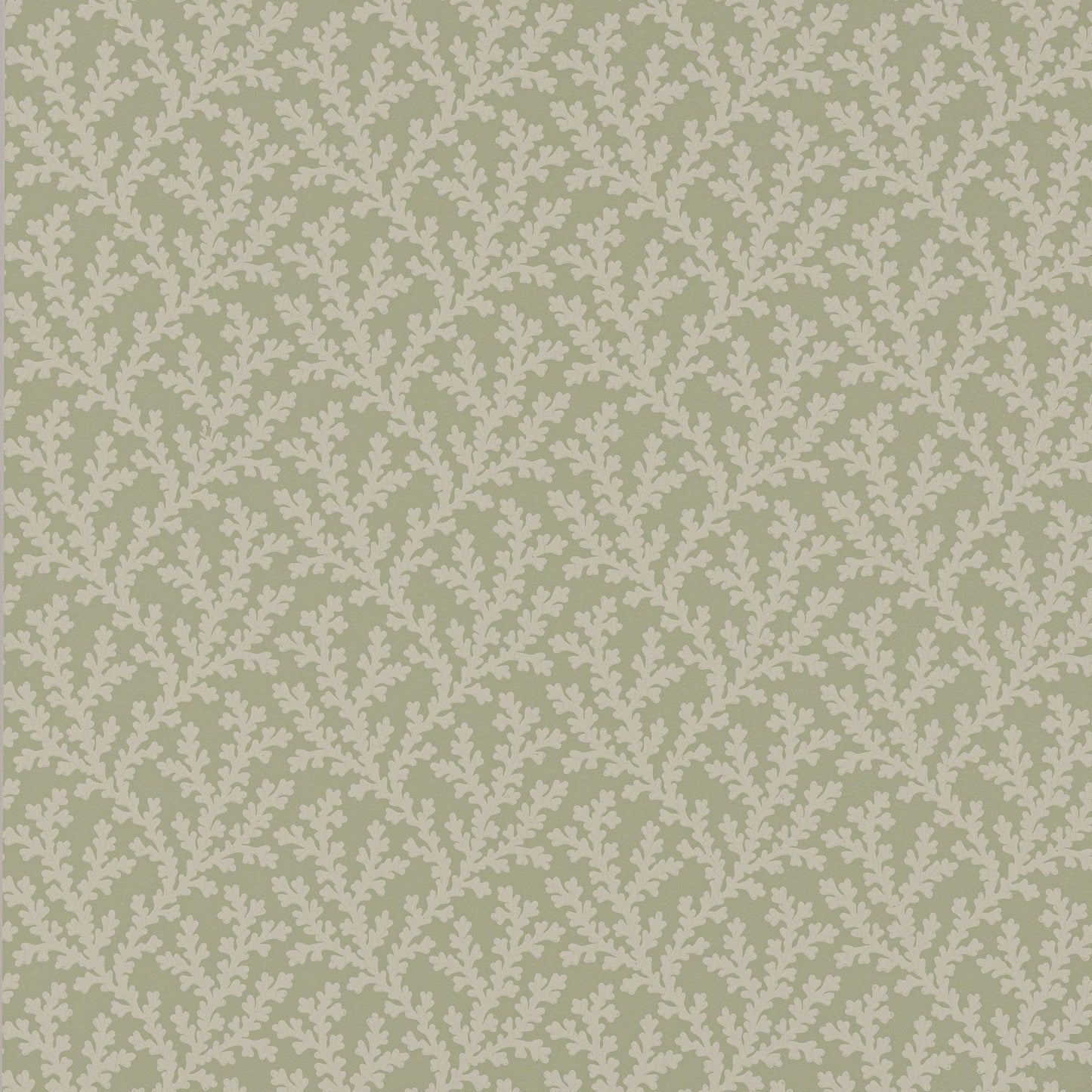 Sea Coral Wallpaper - Willow - Colefax & Fowler - W7020 - 04 - Premier Wallcovering