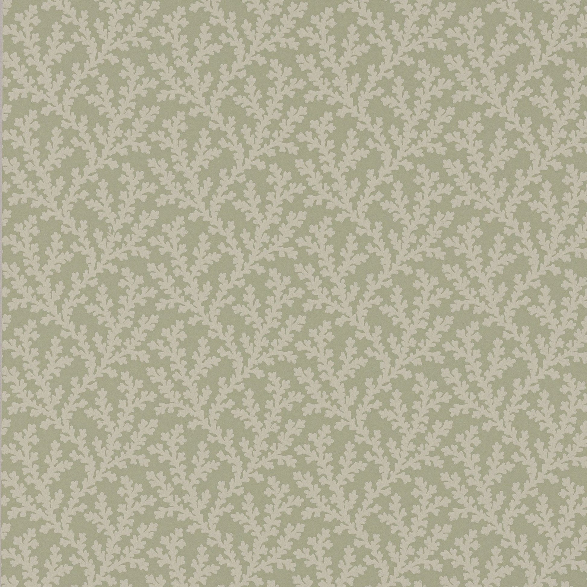 Sea Coral Wallpaper - Willow - Colefax & Fowler - W7020 - 04 - Premier Wallcovering