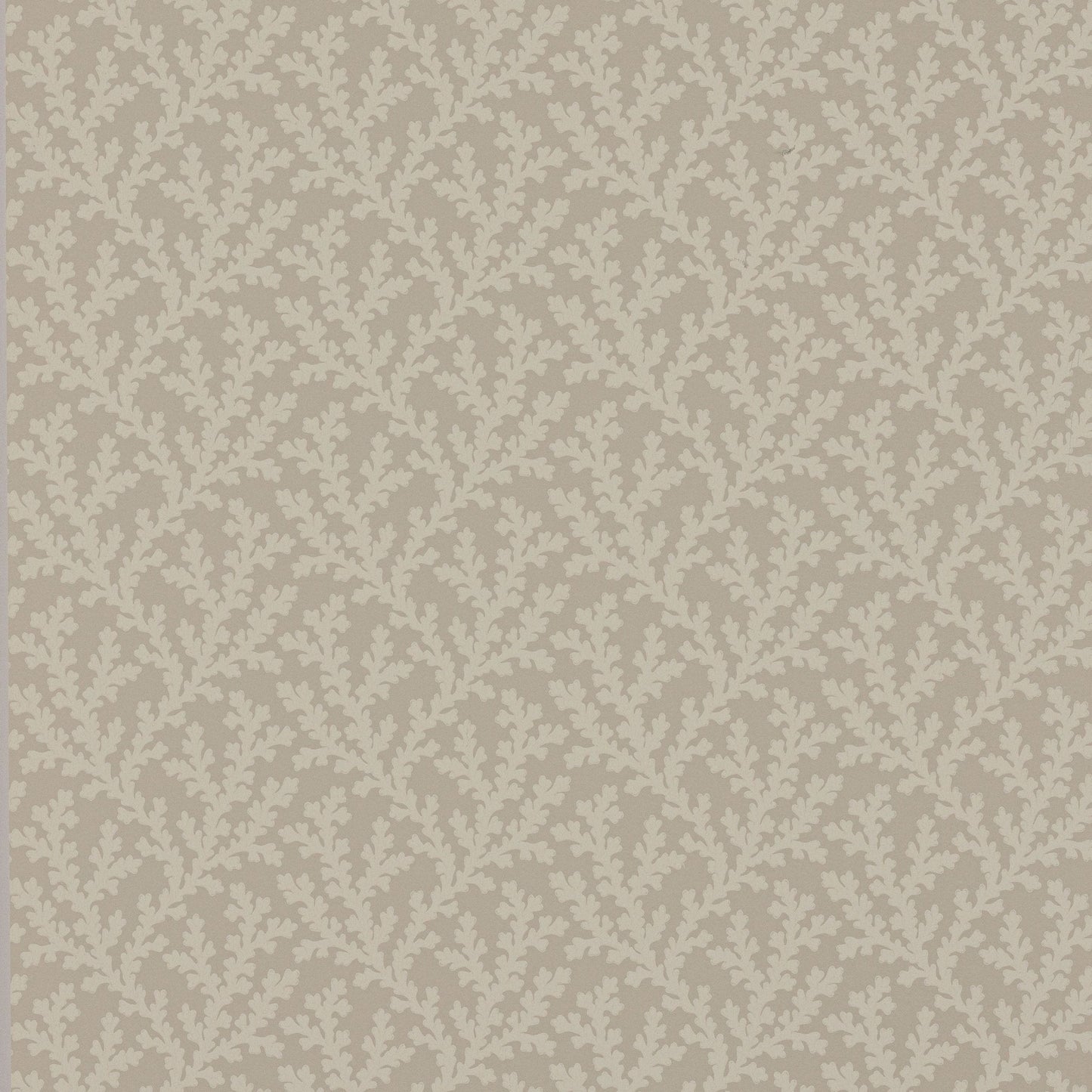 Sea Coral Wallpaper - Beige - Colefax & Fowler - W7020 - 03 - Premier Wallcovering