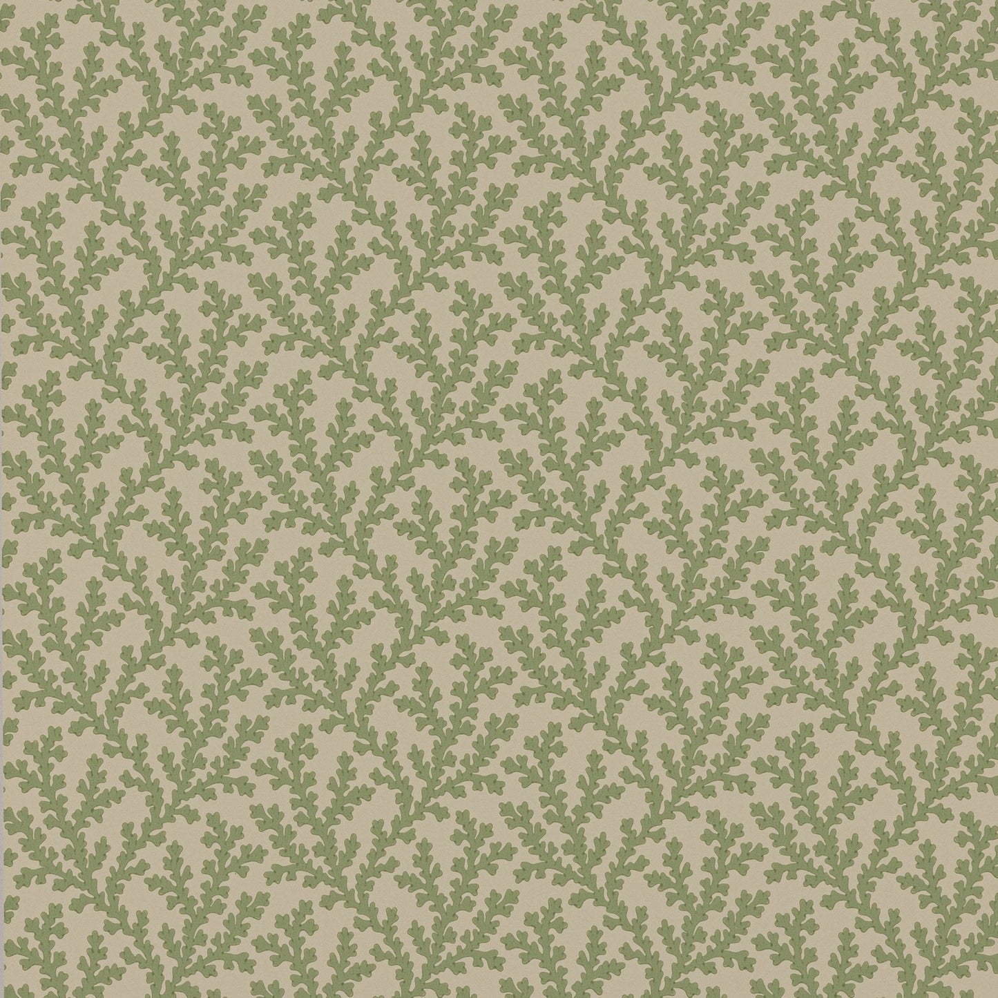 Sea Coral Wallpaper - Green - Colefax & Fowler - W7020 - 01 - Premier Wallcovering