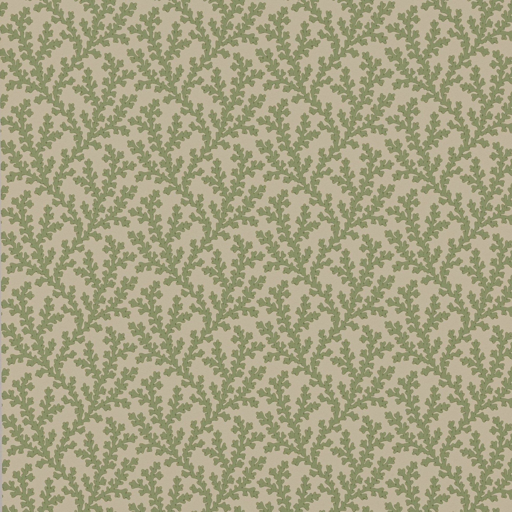 Sea Coral Wallpaper - Green - Colefax & Fowler - W7020 - 01 - Premier Wallcovering